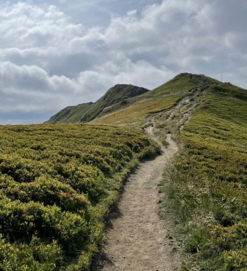 Hrebeňovka Krivánska Malá Fatra